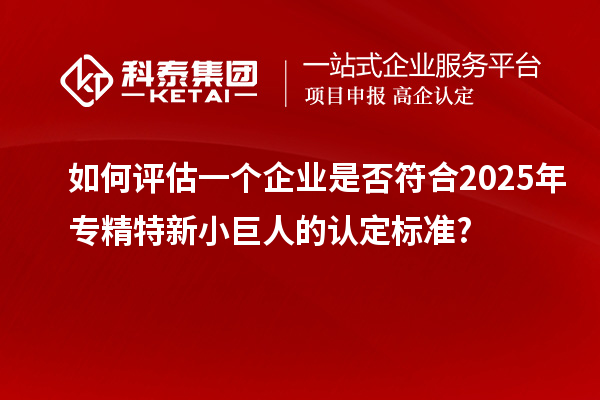 如何評(píng)估一個(gè)企業(yè)是否符合2025年專精特新小巨人的認(rèn)定標(biāo)準(zhǔn)?