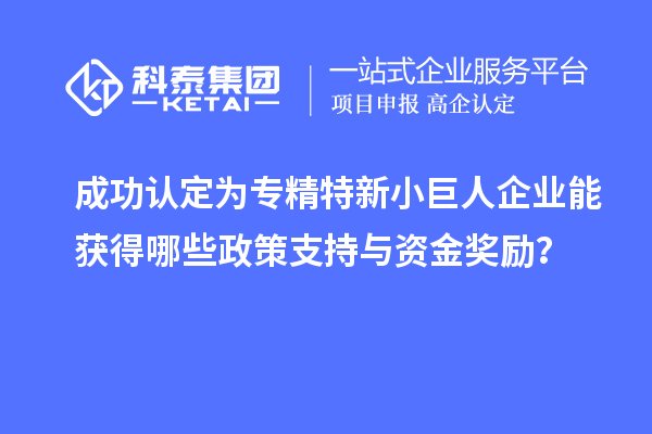 成功認(rèn)定為專精特新小巨人企業(yè)能獲得哪些政策支持與資金獎(jiǎng)勵(lì)？