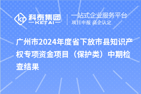 廣州市2024年度省下放市縣知識產(chǎn)權(quán)專項資金項目（保護類）中期檢查結(jié)果