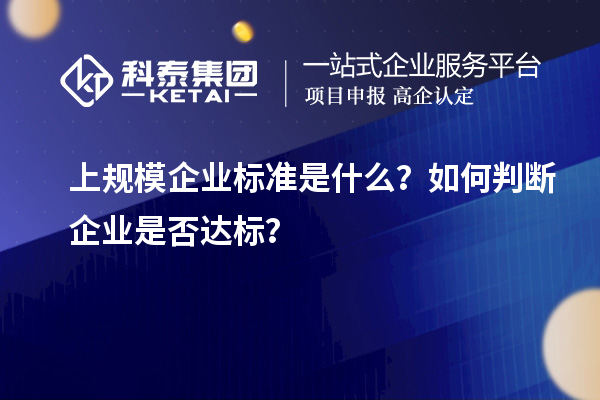 上規(guī)模企業(yè)標(biāo)準(zhǔn)是什么？如何判斷企業(yè)是否達(dá)標(biāo)？