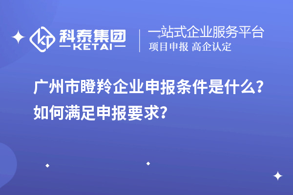 廣州市瞪羚企業(yè)申報條件是什么？如何滿足申報要求？