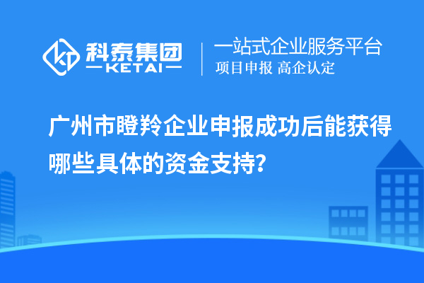 廣州市瞪羚企業(yè)申報成功后能獲得哪些具體的資金支持？