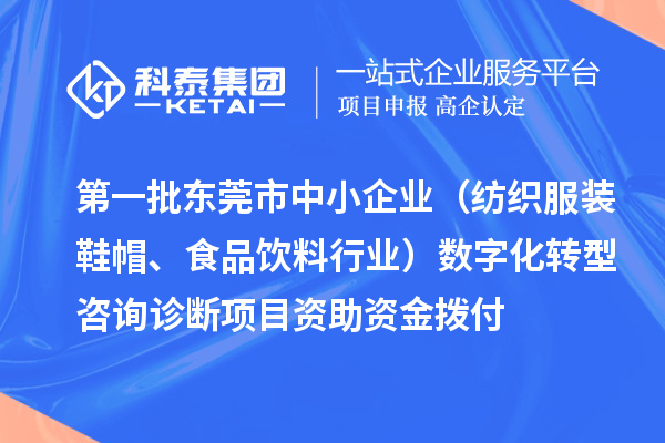 第一批東莞市中小企業(yè)（紡織服裝鞋帽、食品飲料行業(yè)）數(shù)字化轉(zhuǎn)型咨詢診斷項(xiàng)目資助資金撥付