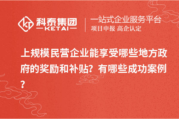 上規(guī)模民營企業(yè)能享受哪些地方政府的獎勵和補(bǔ)貼？有哪些成功案例？