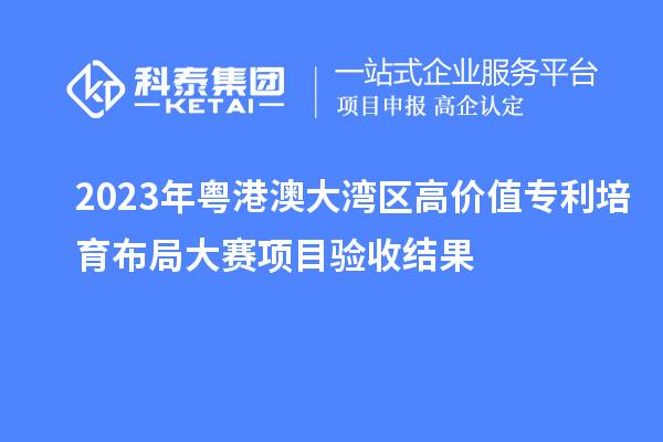 2023年粵港澳大灣區(qū)高價(jià)值專利培育布局大賽項(xiàng)目驗(yàn)收結(jié)果