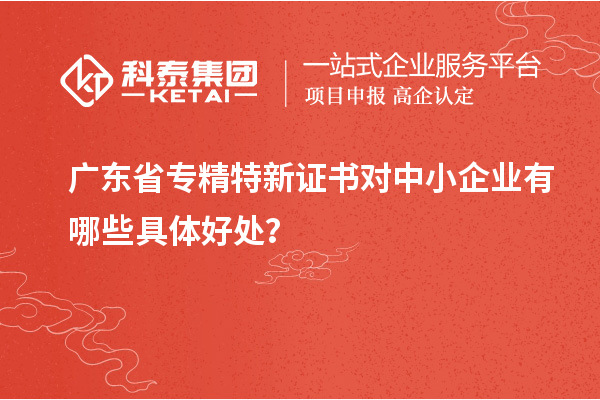 廣東省專精特新證書對中小企業(yè)有哪些具體好處？