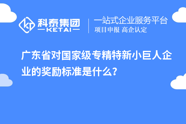 廣東省對(duì)國(guó)家級(jí)專精特新小巨人企業(yè)的獎(jiǎng)勵(lì)標(biāo)準(zhǔn)是什么？