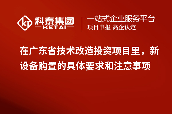 在廣東省技術(shù)改造投資項目里，新設(shè)備購置的具體要求和注意事項