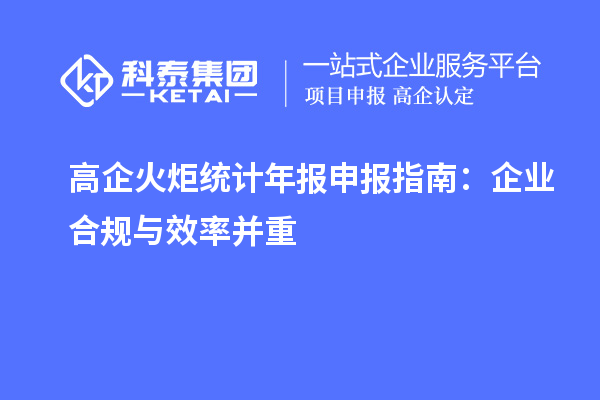  高企火炬統(tǒng)計(jì)年報(bào)申報(bào)指南：企業(yè)合規(guī)與效率并重