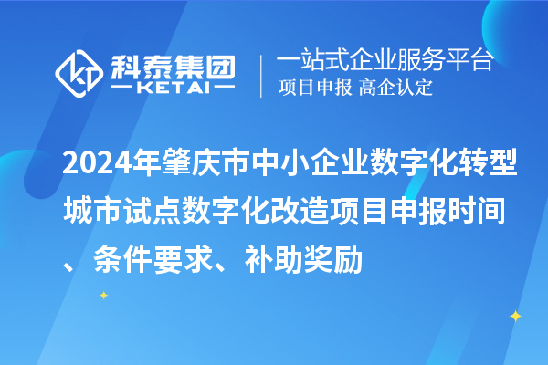 2024年肇慶市中小企業(yè)數(shù)字化轉(zhuǎn)型城市試點數(shù)字化改造項目申報時間、條件要求、補助獎勵