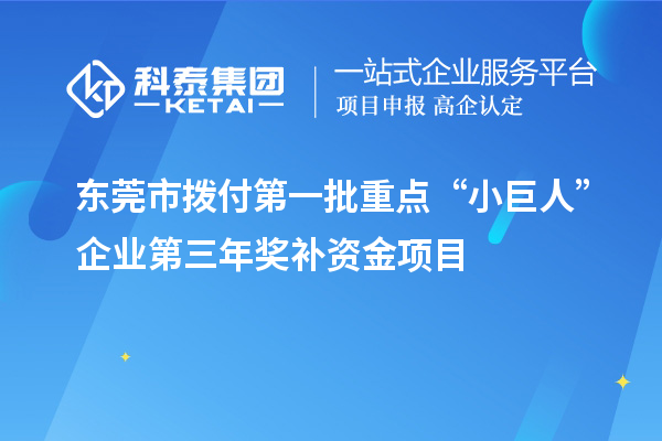 東莞市撥付第一批重點(diǎn)“小巨人”企業(yè)第三年獎(jiǎng)補(bǔ)資金項(xiàng)目