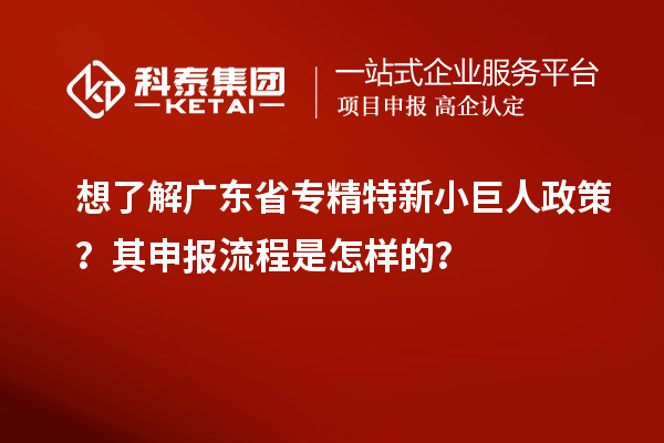 想了解廣東省專精特新小巨人政策？其申報流程是怎樣的？