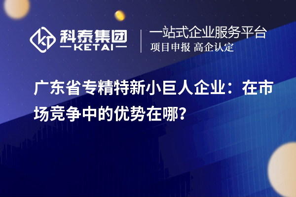 廣東省專(zhuān)精特新小巨人企業(yè)：在市場(chǎng)競(jìng)爭(zhēng)中的優(yōu)勢(shì)在哪？