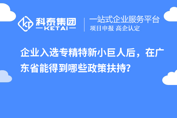 企業(yè)入選專精特新小巨人后，在廣東省能得到哪些政策扶持？