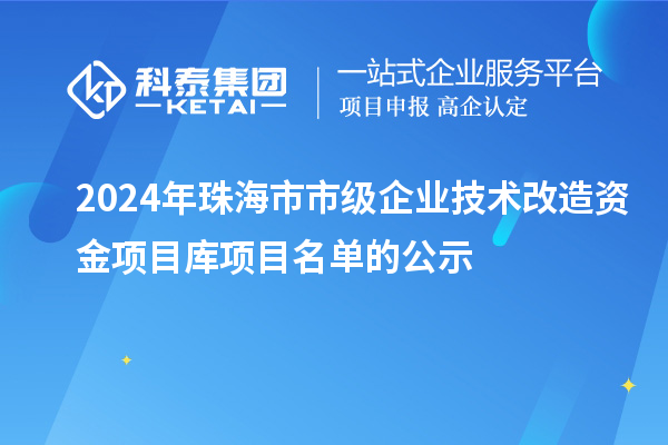 2024年珠海市市級企業(yè)技術(shù)改造資金項目庫項目名單的公示