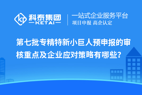 第七批專精特新小巨人預(yù)申報(bào)的審核重點(diǎn)及企業(yè)應(yīng)對(duì)策略有哪些？