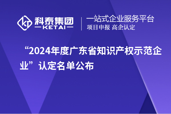 “2024年度廣東省知識產(chǎn)權(quán)示范企業(yè)”認定名單公布