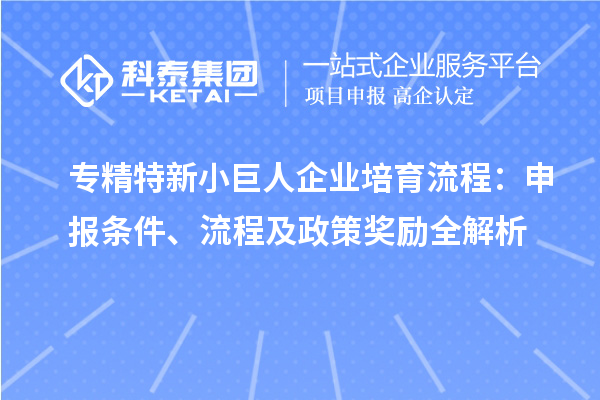 專精特新小巨人企業(yè)培育流程：申報(bào)條件、流程及政策獎(jiǎng)勵(lì)全解析