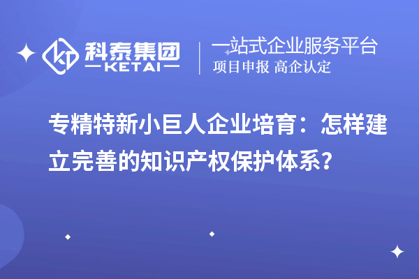 專精特新小巨人企業(yè)培育：怎樣建立完善的知識產(chǎn)權(quán)保護體系？