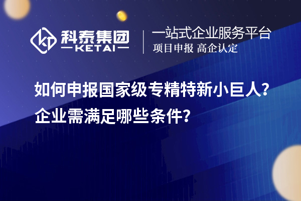 如何申報(bào)國家級(jí)專精特新小巨人？企業(yè)需滿足哪些條件？