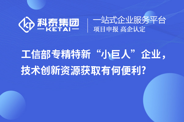 工信部專精特新 “小巨人” 企業(yè)，技術(shù)創(chuàng)新資源獲取有何便利?