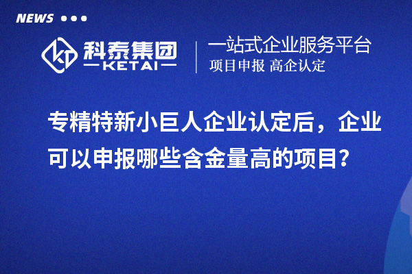 專精特新小巨人企業(yè)認(rèn)定后，企業(yè)可以申報(bào)哪些含金量高的項(xiàng)目？