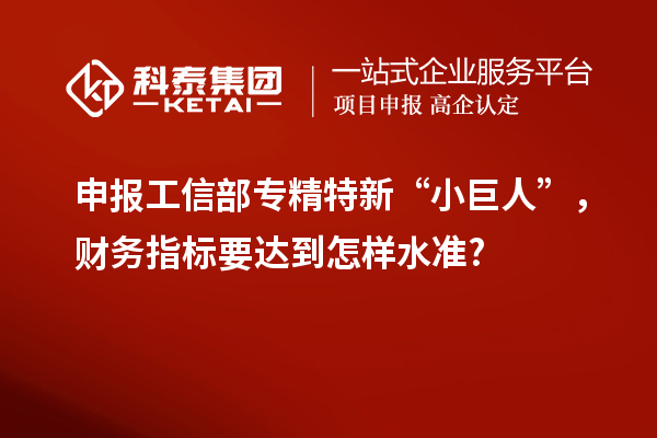 申報(bào)工信部專精特新 “小巨人”，財(cái)務(wù)指標(biāo)要達(dá)到怎樣水準(zhǔn)?