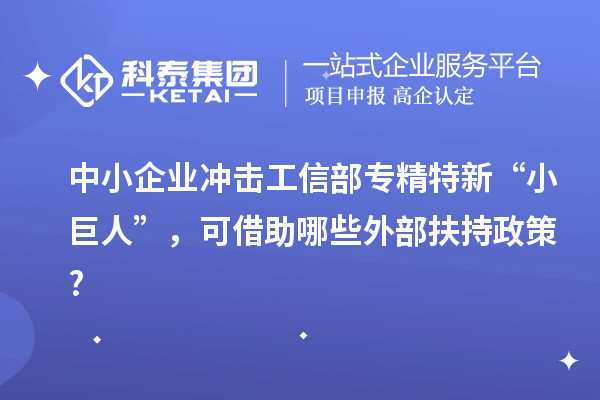 中小企業(yè)沖擊工信部專(zhuān)精特新 “小巨人”，可借助哪些外部扶持政策?