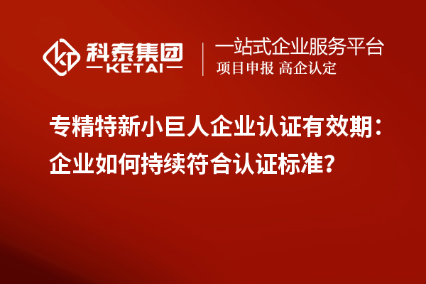 專精特新小巨人企業(yè)認(rèn)證有效期：企業(yè)如何持續(xù)符合認(rèn)證標(biāo)準(zhǔn)？