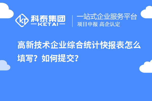 高新技術(shù)企業(yè)綜合統(tǒng)計(jì)快報(bào)表怎么填寫？如何提交？