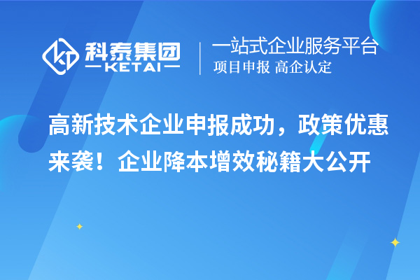 高新技術(shù)企業(yè)申報成功，政策優(yōu)惠來襲！企業(yè)降本增效秘籍大公開