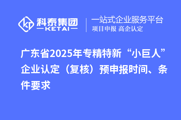 廣東省2025年專精特新“小巨人”企業(yè)認(rèn)定（復(fù)核）預(yù)申報(bào)時(shí)間、條件要求