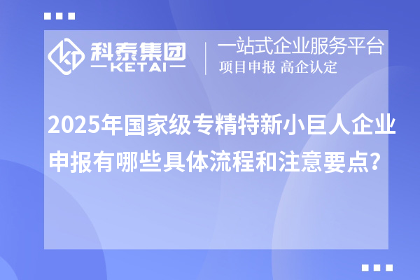 2025年國家級專精特新<a href=http://m.gif521.com/zjtx/ target=_blank class=infotextkey>小巨人企業(yè)申報(bào)</a>有哪些具體流程和注意要點(diǎn)？