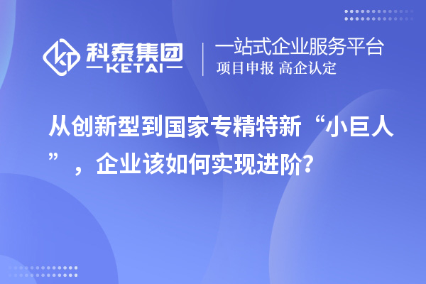 從創(chuàng)新型到國(guó)家專精特新“小巨人”，企業(yè)該如何實(shí)現(xiàn)進(jìn)階？