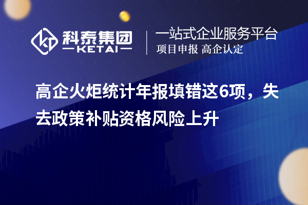 高企火炬統(tǒng)計年報填錯這6項，失去政策補貼資格風險上升