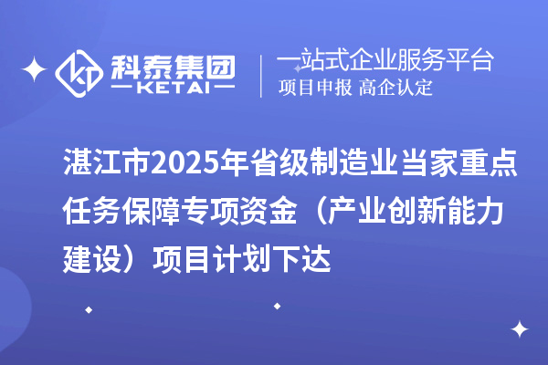 湛江市2025年省級制造業(yè)當(dāng)家重點任務(wù)保障專項資金（產(chǎn)業(yè)創(chuàng)新能力建設(shè)）項目計劃下達(dá)