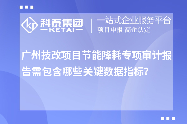 廣州技改項(xiàng)目節(jié)能降耗專項(xiàng)審計(jì)報(bào)告需包含哪些關(guān)鍵數(shù)據(jù)指標(biāo)？