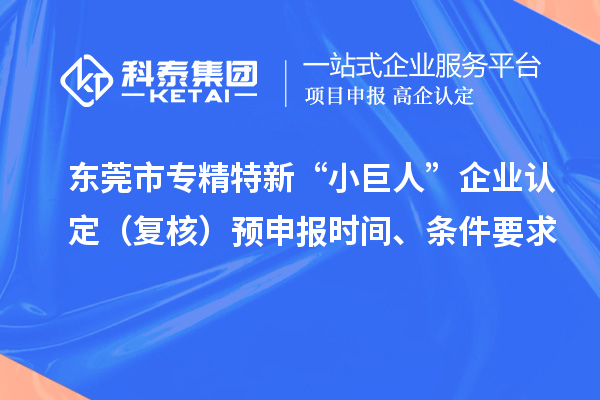 東莞市專精特新“小巨人”企業(yè)認(rèn)定（復(fù)核）預(yù)申報(bào)時(shí)間、條件要求