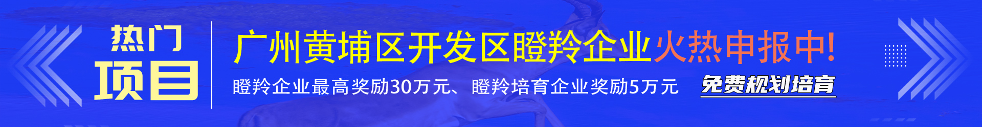 瞪羚企業(yè)培育認定