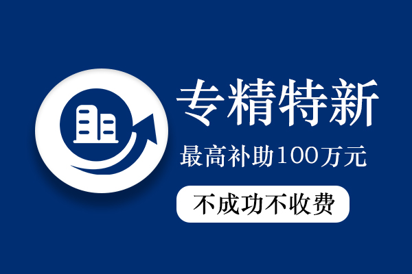 專精特新小巨人企業(yè)認(rèn)定